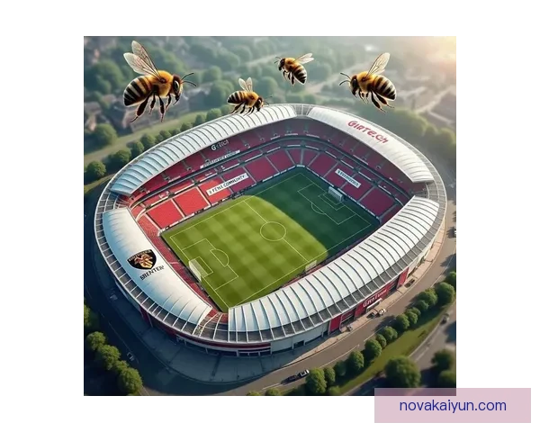 英超布伦特福德新球场展现出强大竞争力，成为球队主场的亮点